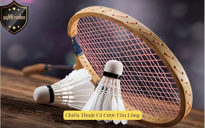 Chiến Thuật Cá Cược Cầu Lông